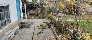 bine atciliq satilan evler: 36 sot, Kənd təsərrüfatı, Mülkiyyətçi, Kupça (Çıxarış) — 2