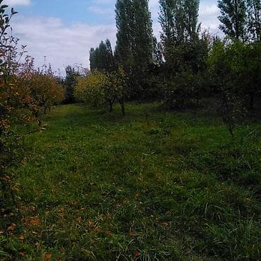 50 manata kiraye evler: 37 sot, Biznes üçün, Bələdiyyə, Müqavilə — 6
