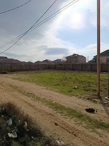 torpaq ceyranbatan: Tikinti — 1