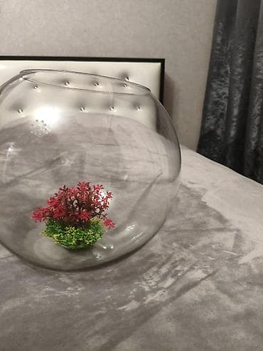 afcarka balalari satilir: Yumru akvarium, Boş, 20 l, Ünvandan götürmə — 4