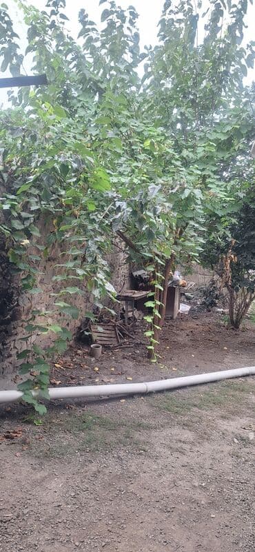 дешевые дачи в баку аренда: 120 kv. m, 3 otaqlı, Qaz, İşıq, İnternet — 1