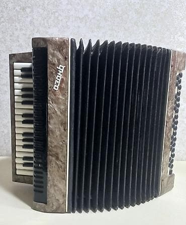 akardion: Akustik Akkordeon — 4