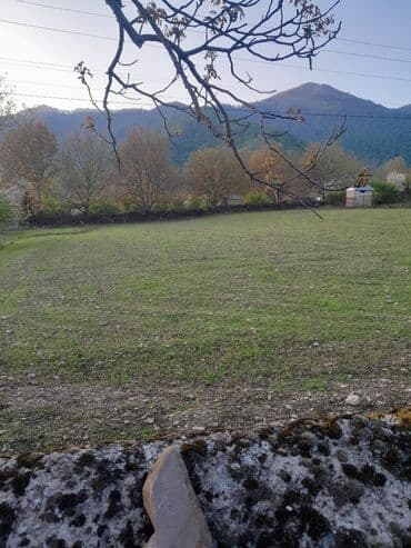 20 sot, Biznes üçün, Müqavilə — 2