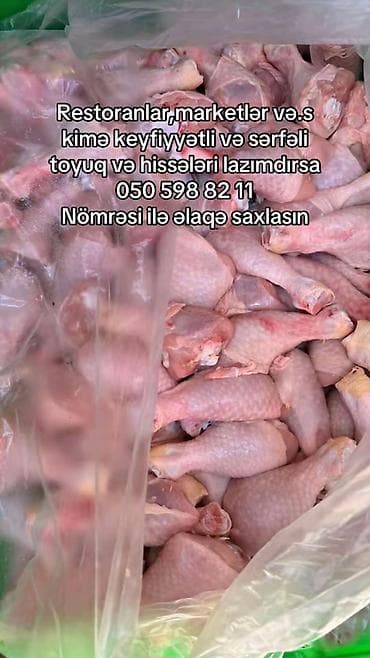 Topdan toyuq və toyuq hissələri - Restoranlar və marketlər üçün uyğun lalafo.az -da Topdan toyuq və toyuq hissələri - Restoranlar və marketlər üçün uyğun
