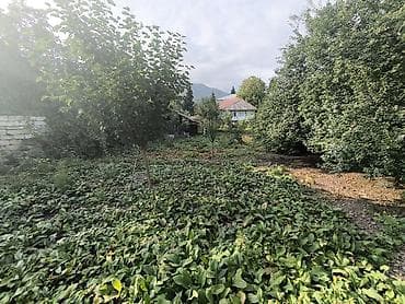 neftçilərdə 3 otaqlı evlər: 100 kv. m, 4 otaqlı — 6