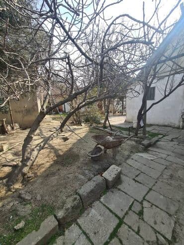 ist petrol tbilisi prospekti: 16 sot, Tikinti, Makler, Kupça (Çıxarış) — 14