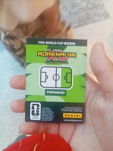 cd kart: Məhsul: Panini Adrenalyn XL rəsmi kolleksiya kartı – FIFA World Cup — 2