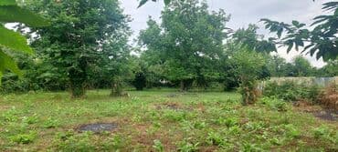 fatmayı torpaq: 11 sot, Tikinti, Maklerlər narahat etməsin, Kupça (Çıxarış) — 2