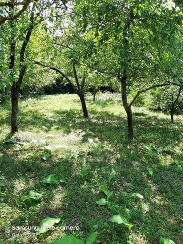 şabran torpaq: 10 sot, Tikinti, Mülkiyyətçi, Kupça (Çıxarış) — 13