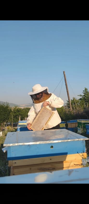 вешалка настенная в прихожую белая: Təbii arı qaratikan balı – “Arıçı Emin” Faydaları və Qidalandırıcı — 1