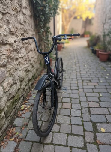 yaris velosipedleri: Şəhər velosipedi 20", sürətlərin sayı: 1 — 1