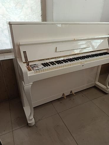 gitara pedalları: Petrof upright piano – klassik dizaynlı ağ rəngdə akustik model — 5