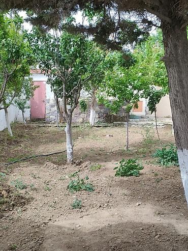 250 kv. m, 7 otaqlı, Artezian quyusu, İnternet, Telefon — 5