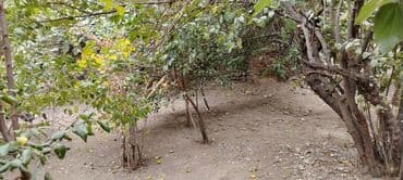 xacmazda dasinmaz əmlak: 2 otaqlı, 70 kv. m, Kredit yoxdur, Orta təmir — 5