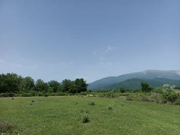 земельные участки на море: 12 sot, Biznes üçün, Mülkiyyətçi, Kupça (Çıxarış) — 8