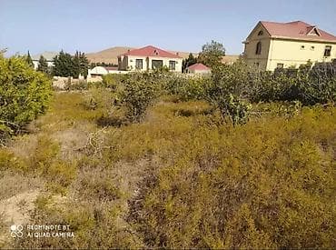 24 sot, Tikinti, Kupça (Çıxarış) lalafo.az -da 24 sot, Tikinti, Kupça (Çıxarış)