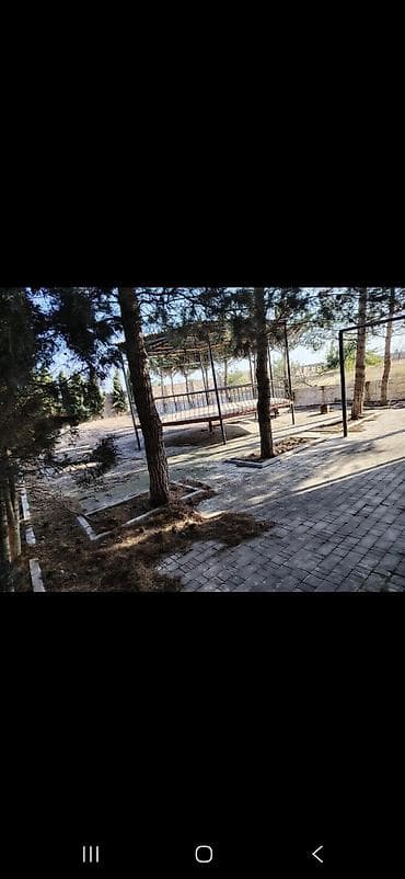 lepe: Kənd təsərrüfatı, Kupça (Çıxarış) — 4