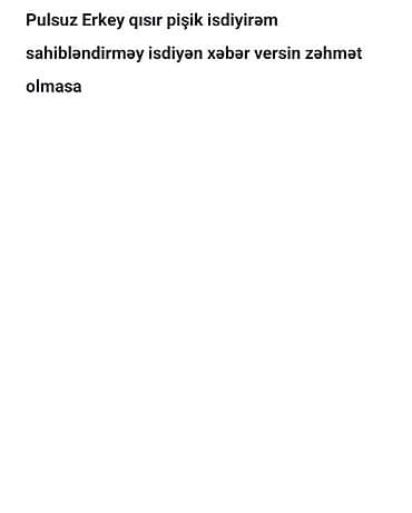 Птицы: Axtarış: Pulsuz erkək, qısır pişik. Sahibləndirmək istəyənlər üçün — 1