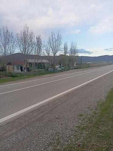 bilgeh bag evi: Biznes üçün, Mülkiyyətçi, Kupça (Çıxarış) — 7