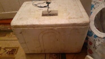 inkubator avadanlıqları: İnkubator Sərfəli qiymətə inqubator düzəldirəm. 50-100 arası yumurta — 1