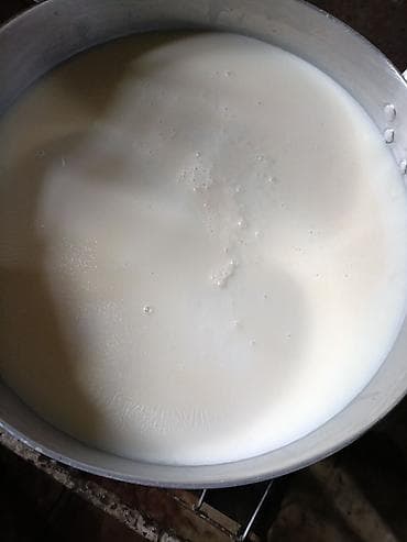 Süt satan varsa mənə hər gün 100 litir lazımdır ünvan Müşfiqabad kimde