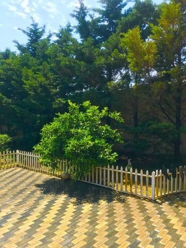 kirayə restoran: 299 kv. m, 4 otaqlı, Hovuzlu, Kombi, Kanalizasiya — 9