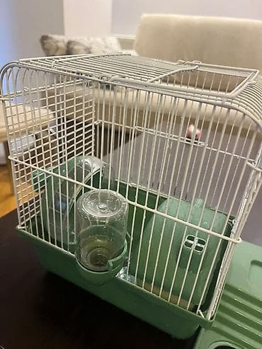 Heyvanlar üçün mallar: Hamster ucun qefes satilir, elave oyuncaqlar da var. Icini deyismek — 2