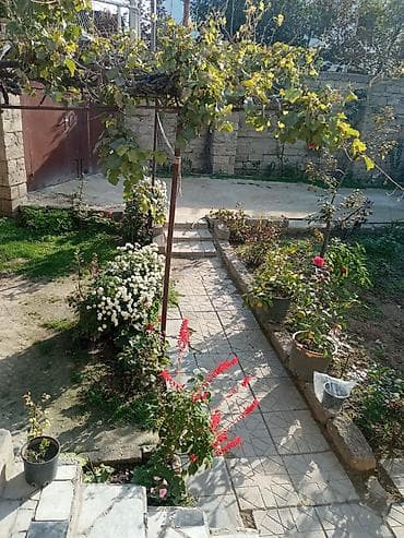 kiraye ev xutor: 3 otaqlı, 150 kv. m, Kredit yoxdur, Orta təmir — 7