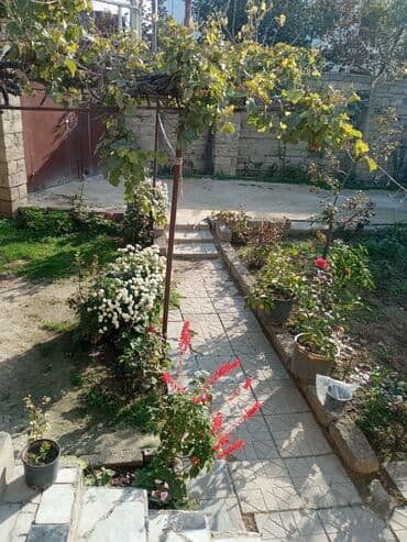 baki otel qiymetleri: İcarəyə təqdim olunur geniş və işıqlı otaq - İki ayrı tək çarpayı - — 6