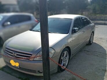 kia ceed ölüxana: Nissan Teana sedan - Kuzov: gümüşü rəng, 4 qapılı sedan, aerodinamik — 2