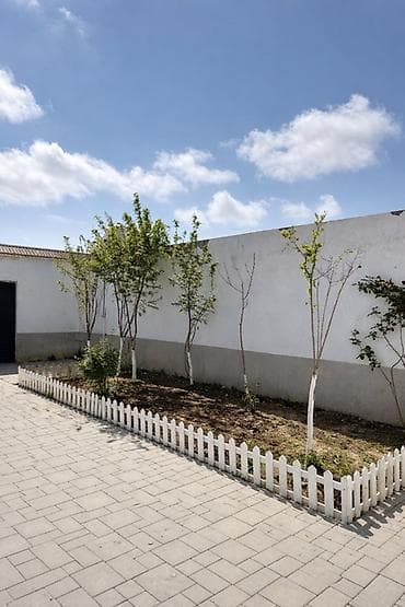 qubada kiraye evler 2020: 3 otaqlı, 60 kv. m, Kredit yoxdur, Yeni təmirli — 5