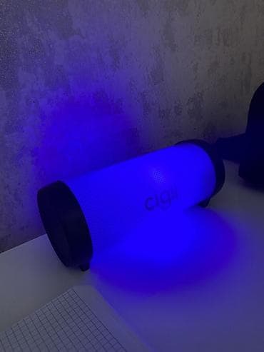 Kolonka, Növ - Portativ