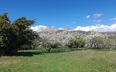 1 ha nece sotdur: Kupça (Çıxarış) — 3