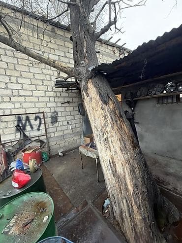 finski evlerin satisi: Salam. Obyekt şəxsi mülkümüzdür, vasitəçi deyiləm. Ümumi sahəsi 120 — 7