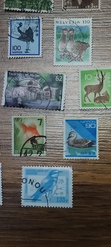 Velosipedlər: Mövzu: Heyvan və quş mövzulu markalar kolleksiyası – müxtəlif ölkələr — 5