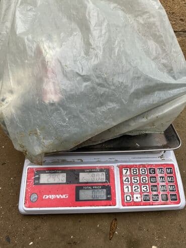 Heyvanlar üçün mallar: Lal ördək 7 dene erkek dişidi cekileri 1.900 2.500 arasıdı qiymet — 3