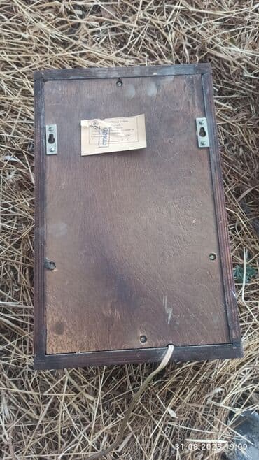 akustik sistem: Radiotehnika Kolonka, Növ - Akustik, rəng - Qara — 3