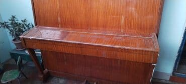 Pianolar: Piano, Belarus, Akustik — 2