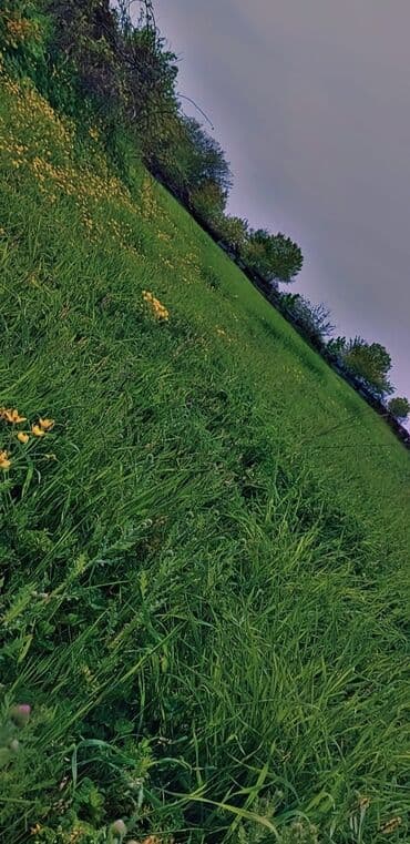 аренда земли под шиномонтаж: 10 соток Для сельского хозяйства, Газ, Электричество, Водопровод — 3