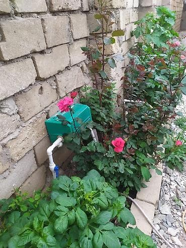 basavik satisi: 3 otaqlı, 3 kv. m, Kredit yoxdur, Təmirsiz — 5