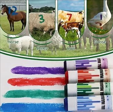 Atlar: Heyvan işarələmə karandaşı – yağlı boya tipli, çubuq formatında — 2