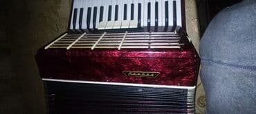 akkardion: Akustik Akkordeon, İşlənmiş, Ünvandan götürmə — 6