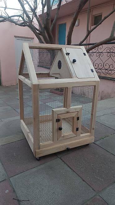 qus dami satilir: Qəfəs təzədi ölçüsü eni 55 uzunu 55 hündürlük 80 təkərlidi . başqa — 1