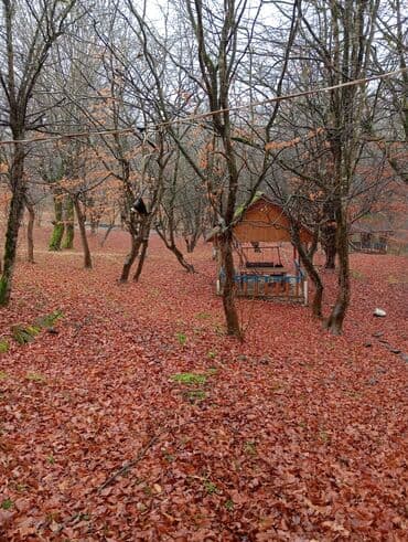 kirayə aylıq: 3000 kv. m, 3 otaqlı — 20