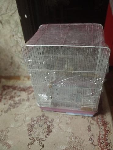 Gəmiricilər: 1cüt karella qəfəs yem və su qabilari yellənçək yuva qusdarda hazır — 8