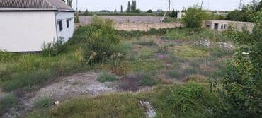 ucar: 30 sot, Biznes üçün, Mülkiyyətçi, Kupça (Çıxarış) — 6