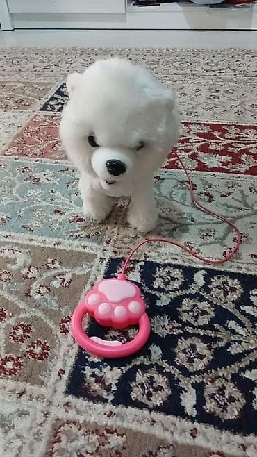 radioidarəedici robotlar: Uzaqdan idarə olunan interaktiv oyuncaq it - Yumşaq, tüklü ağ it — 1