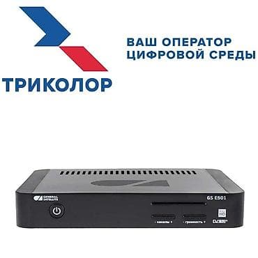 dvd recorder: ТРИКОЛОР ТВ Full HD ​Спутниковый ресивер GS E501 Основные — 8