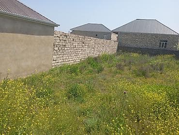 suraxan: Tikinti — 5