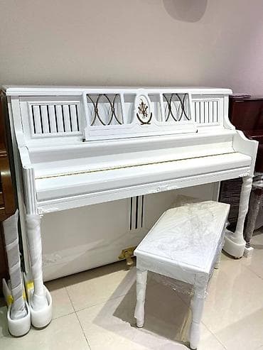 Велосипеды: Пианино, Акустический, Новый, Бесплатная доставка — 6